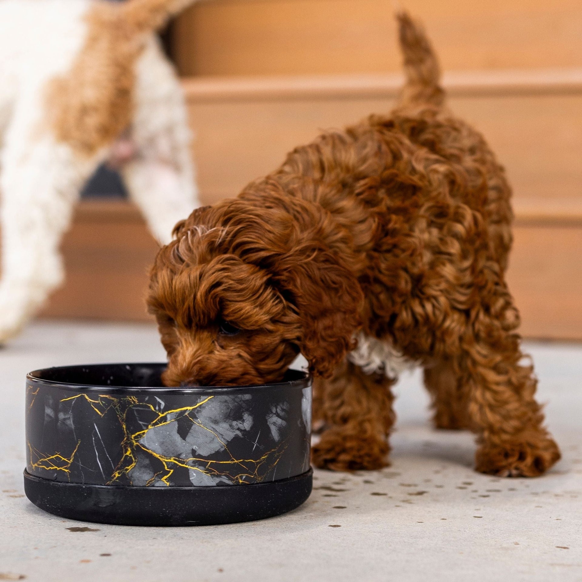 Limited Edition Ceramic Bowl
