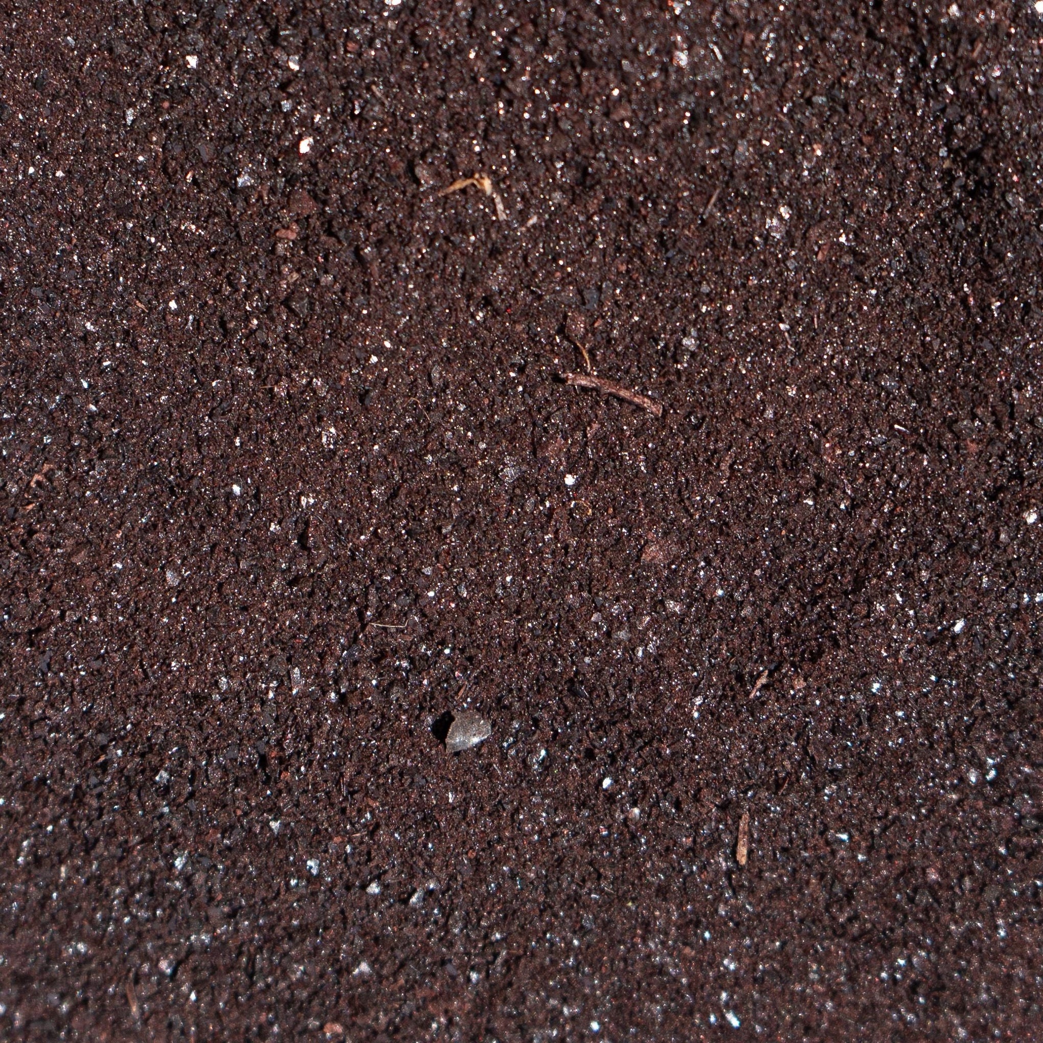 Freeze-Dried Beef Blood | Meal Topper